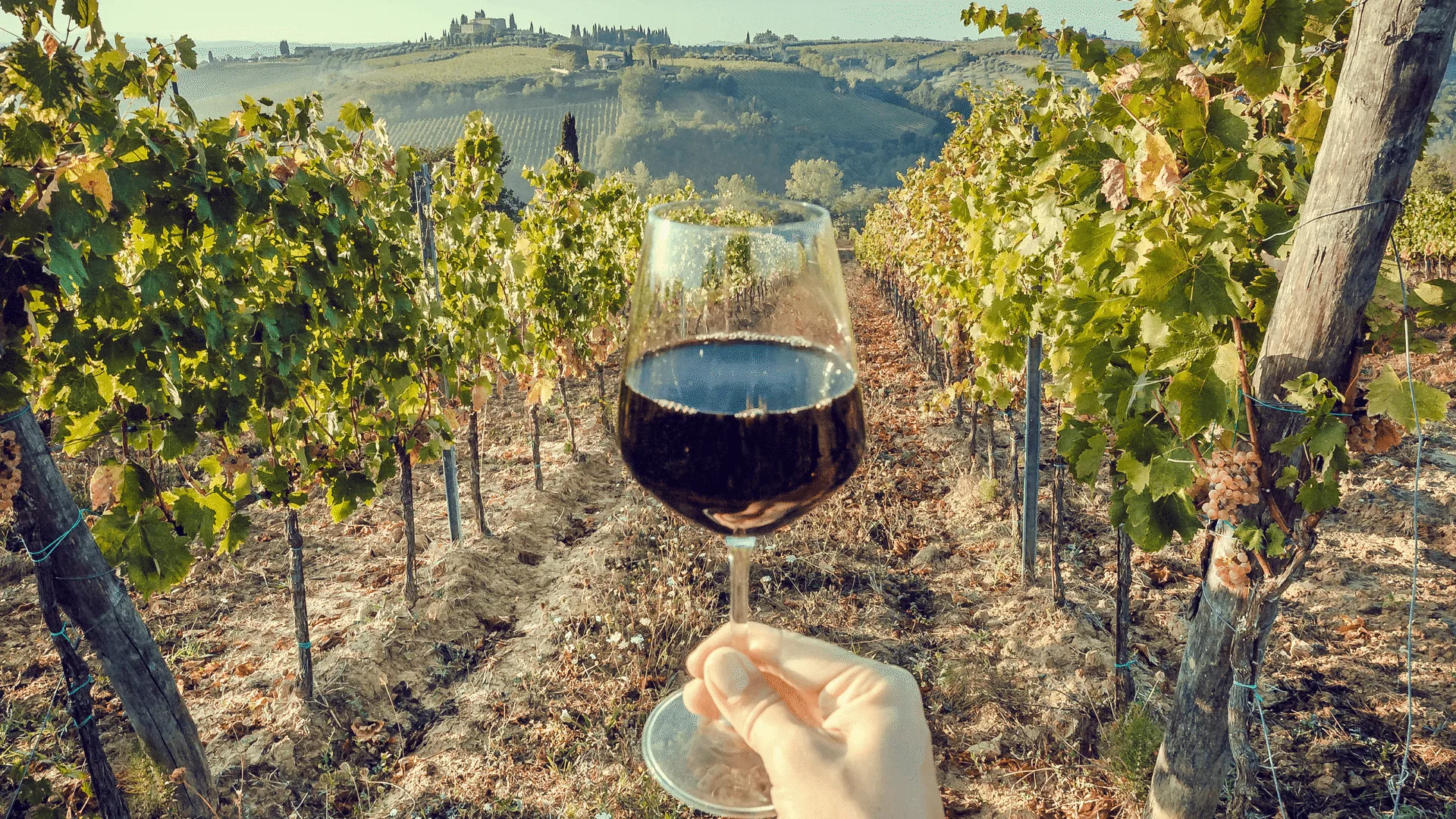 Naturweine