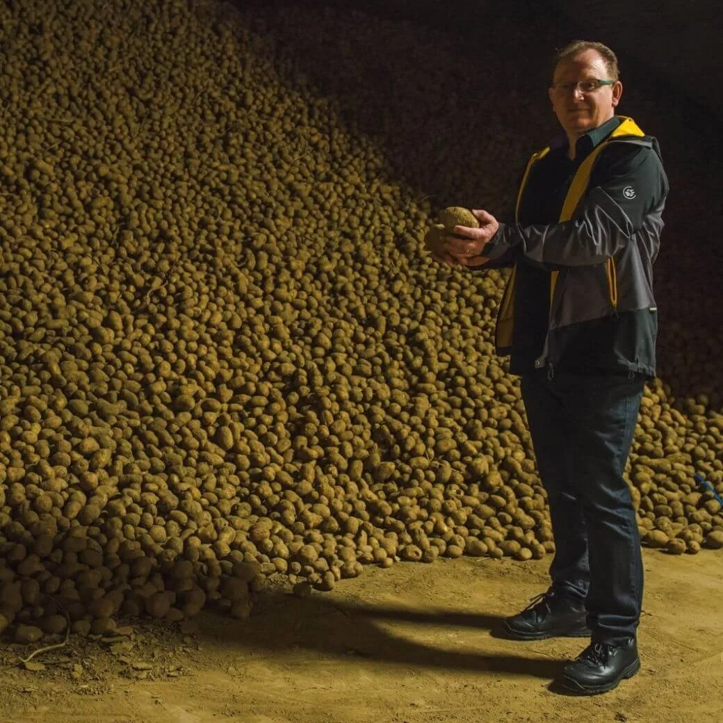 Aardappelen frites